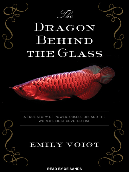 Title details for The Dragon Behind the Glass by Emily Voigt - Available